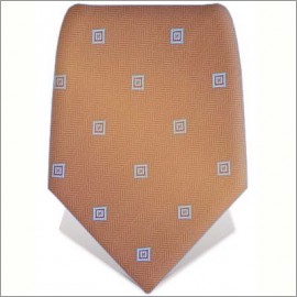 Brown tie with blue squares