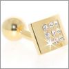Petit rectangle incrust� de Swarovski blancs